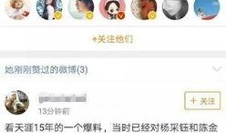 娱乐圈消息最新爆料,明星恋情曝光，豪门恩怨再起波澜